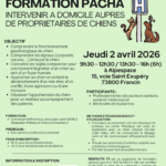 Flyer PACHA (1)